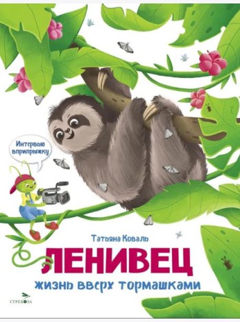 Интервью вприпрыжку. Ленивец