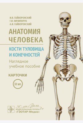 Анатомия человека. Кости туловища и конечностей. Карточки: Наглядное учебное пособие