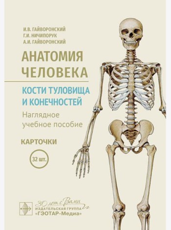 Анатомия человека. Кости туловища и конечностей. Карточки: Наглядное учебное пособие