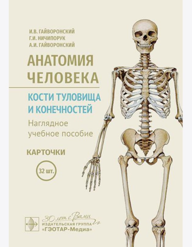 Анатомия человека. Кости туловища и конечностей. Карточки: Наглядное учебное пособие