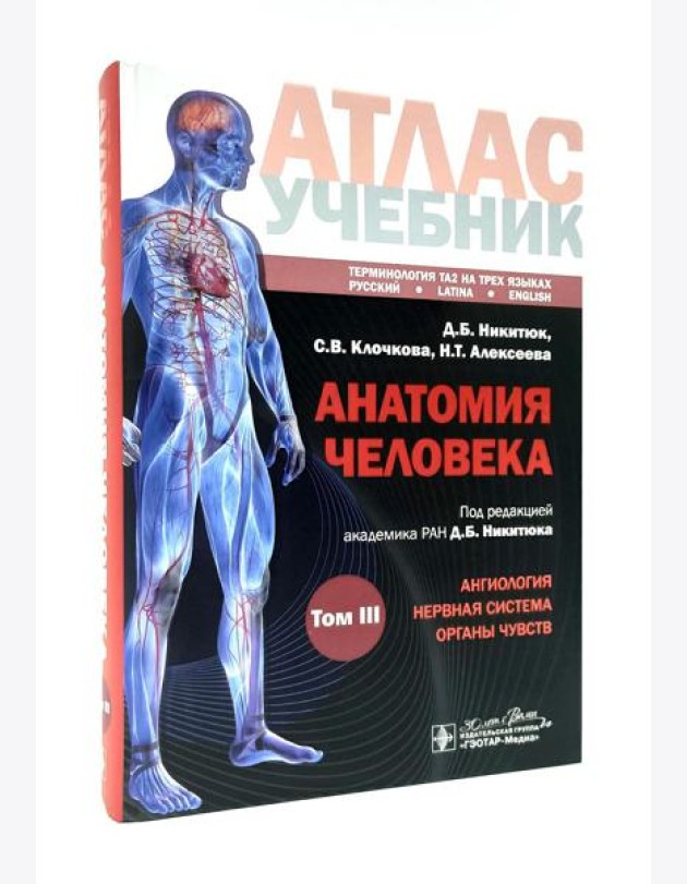 Анатомия человека: атлас: Учебное пособие. В 3 т. Т. 3