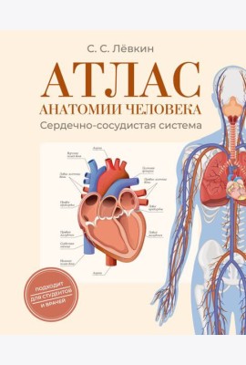 Атлас анатомии человека. Сердечно-сосудистая система