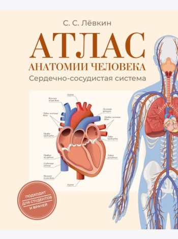 Атлас анатомии человека. Сердечно-сосудистая система