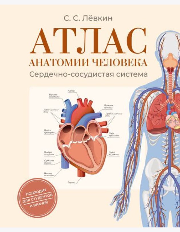 Атлас анатомии человека. Сердечно-сосудистая система