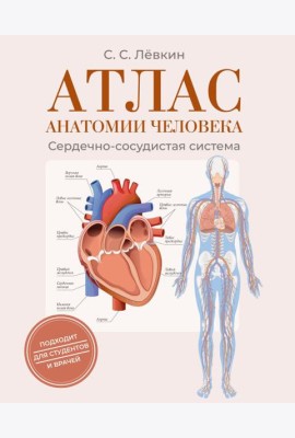 Атлас анатомии человека. Сердечно-сосудистая система