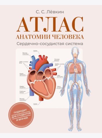 Атлас анатомии человека. Сердечно-сосудистая система