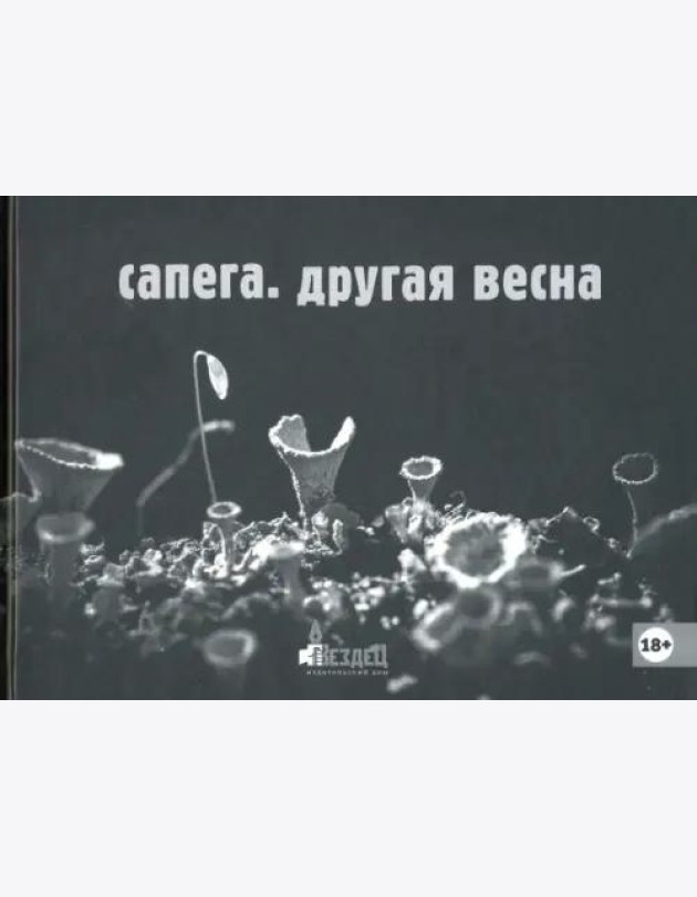 Другая весна