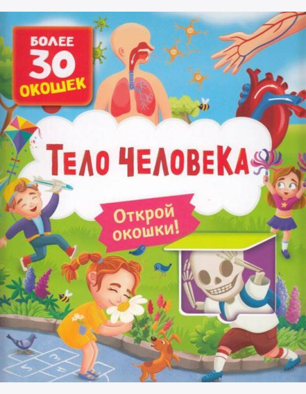 Книги с окошками. Тело человека