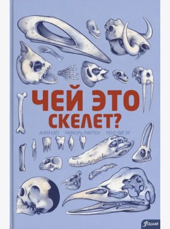 Чей это скелет? (с клапанами)