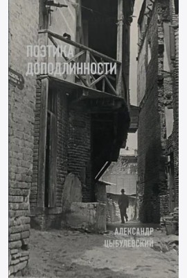 Поэтика доподлинности: Критическая проза. Записные книжки. Фотографии