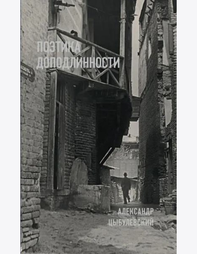 Поэтика доподлинности: Критическая проза. Записные книжки. Фотографии