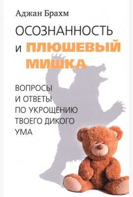 Осознанность и плюшевый мишка. Вопросы и ответы по укрощению твоего дикого ума