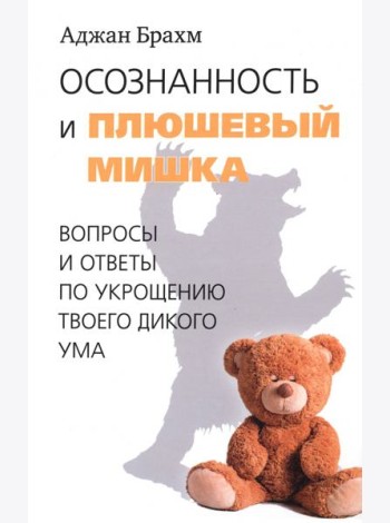 Осознанность и плюшевый мишка. Вопросы и ответы по укрощению твоего дикого ума