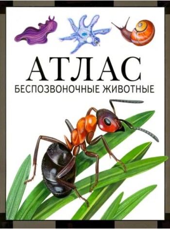 Беспозвоночные животные: атлас (3 изд., стереот.)