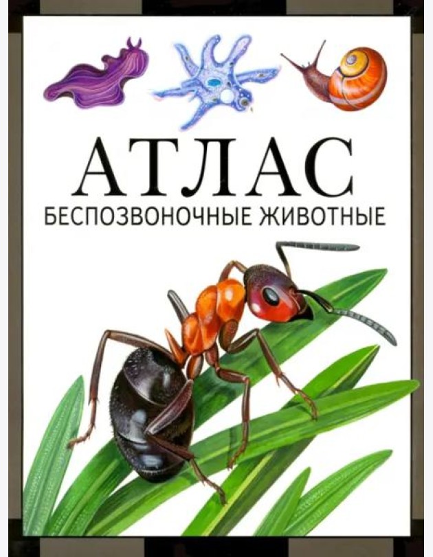 Беспозвоночные животные: атлас (3 изд., стереот.)