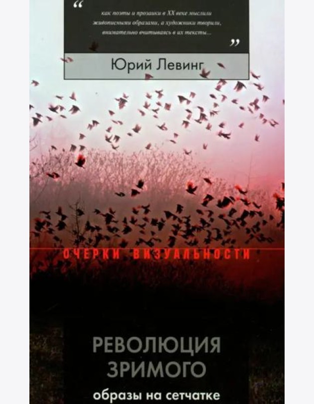 Революция зримого. Образы на сетчатке