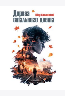 Дорога стального цвета: повесть