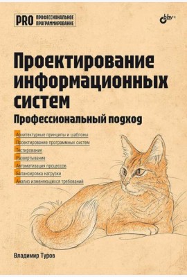 Проектирование информационных систем. Профессиональный подход