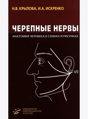 Черепные нервы: Анатомия человека в схемах и рисунках: Атлас-пособие. 6-е изд
