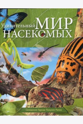 Удивительный мир насекомых
