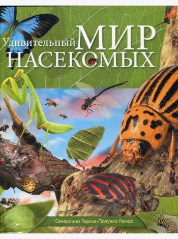 Удивительный мир насекомых