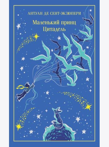 Маленький принц. Цитадель