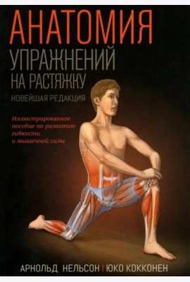 Анатомия упражнений на растяжку