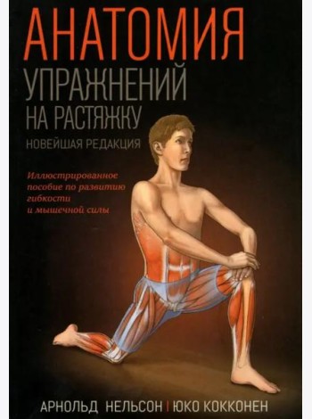 Анатомия упражнений на растяжку
