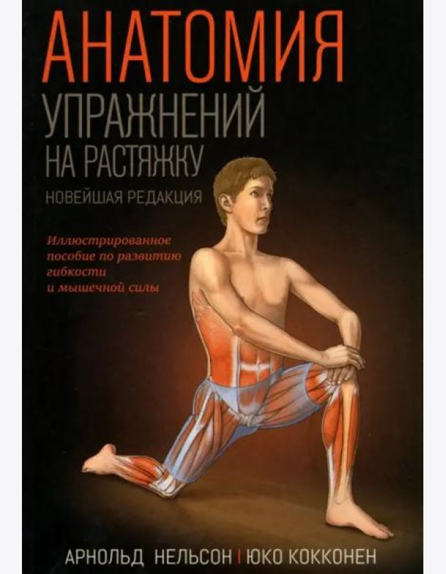 Анатомия упражнений на растяжку