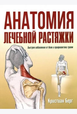 Анатомия лечебной растяжки: быстрое избавление от боли и профилактика травм