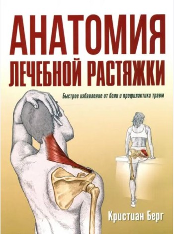 Анатомия лечебной растяжки: быстрое избавление от боли и профилактика травм