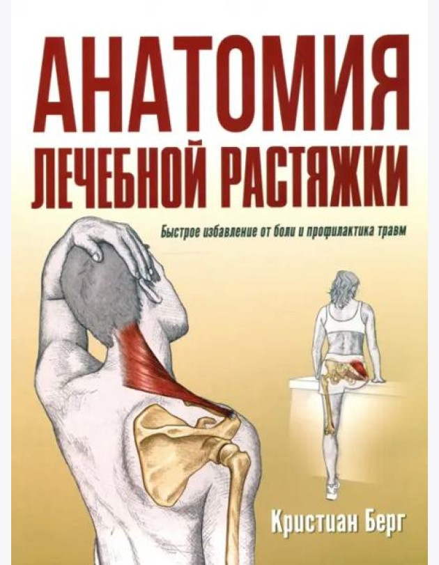 Анатомия лечебной растяжки: быстрое избавление от боли и профилактика травм