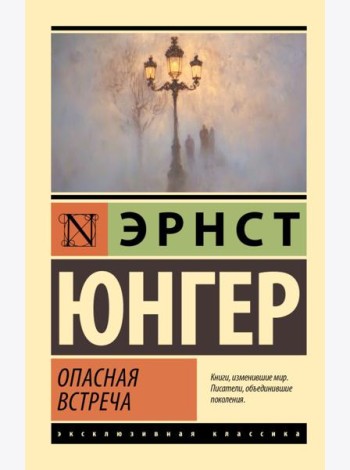 Опасная встреча: роман