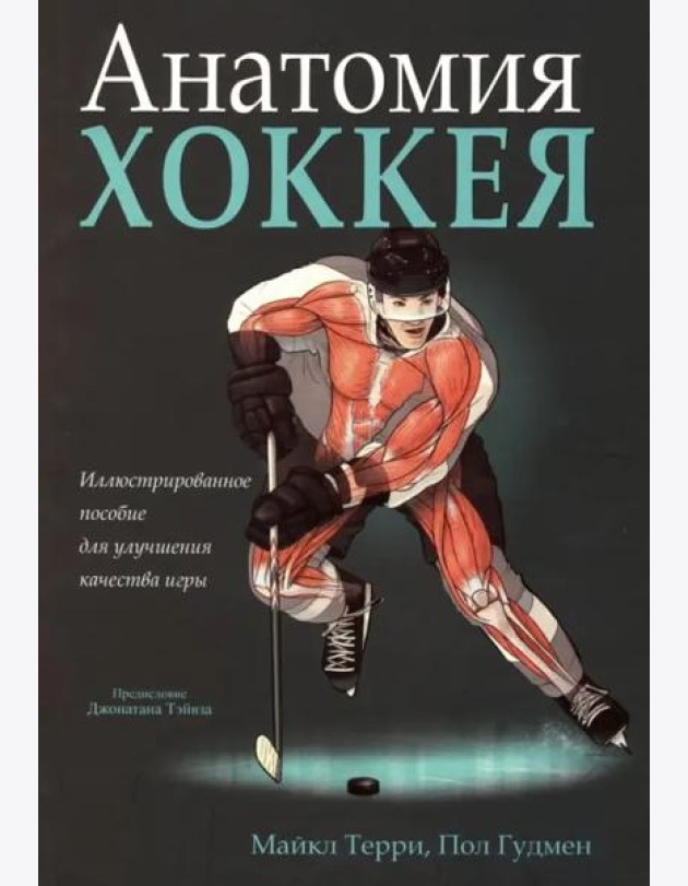 Анатомия хоккея