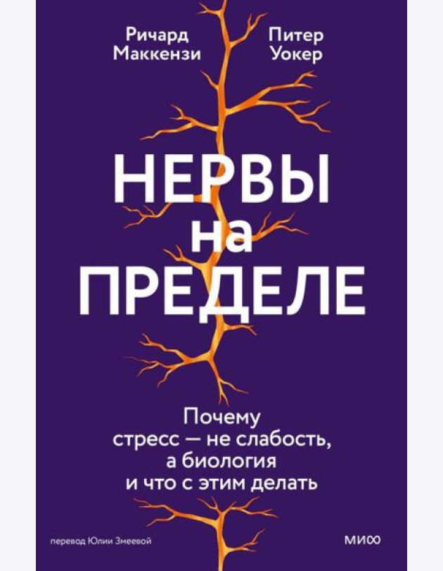 Нервы на пределе. Почему стресс — не слабость, а биология, и что с этим делать