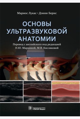 Основы ультразвуковой анатомии