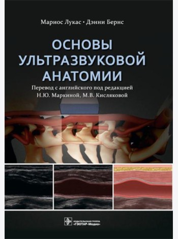 Основы ультразвуковой анатомии