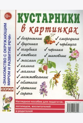Кустарники в картинках Наглядное пособие для педагогов, логопедов, воспитателей и родителей