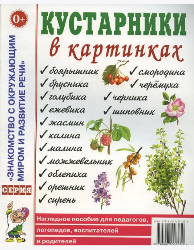 Кустарники в картинках Наглядное пособие для педагогов, логопедов, воспитателей и родителей