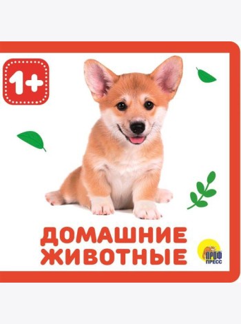 КНИЖКИ НА ПЕНЕ. ДОМАШНИЕ ЖИВОТНЫЕ