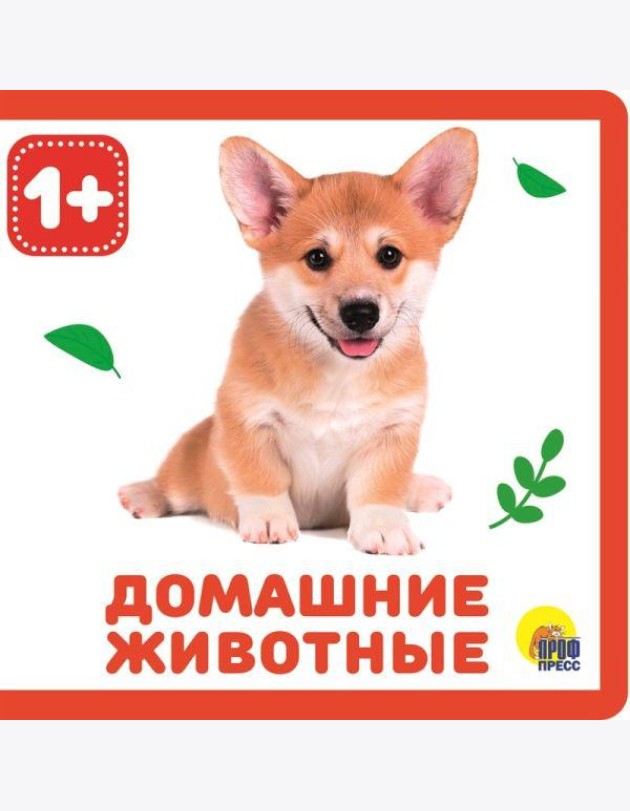 КНИЖКИ НА ПЕНЕ. ДОМАШНИЕ ЖИВОТНЫЕ