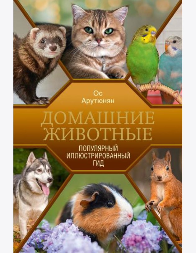 Домашние животные. Популярный иллюстрированный гид