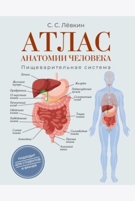 Атлас анатомии человека. Пищеварительная система
