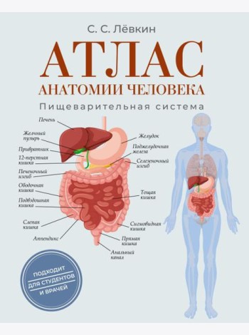 Атлас анатомии человека. Пищеварительная система