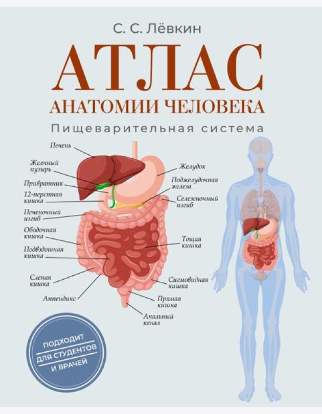 Атлас анатомии человека. Пищеварительная система
