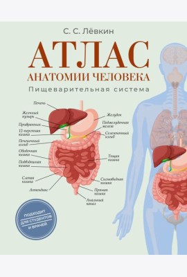 Атлас анатомии человека. Пищеварительная система