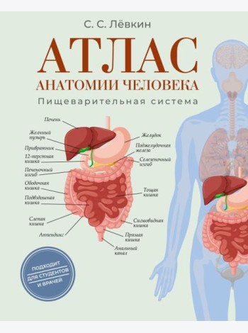 Атлас анатомии человека. Пищеварительная система