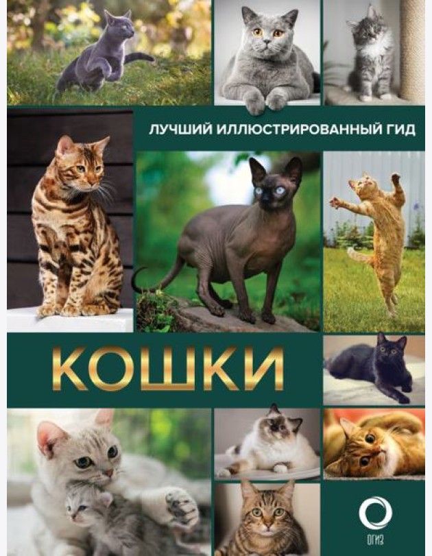 Кошки. Лучший иллюстрированный гид