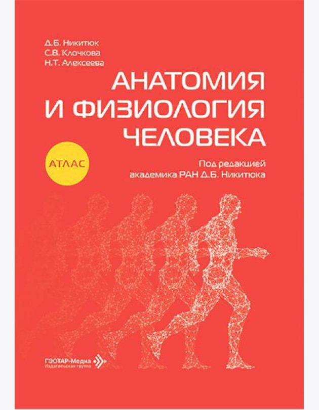 Анатомия и физиология человека: атлас