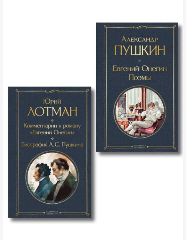 Расшифрованный Евгений Онегин (набор из 2 книг: Евгений Онегин, Комментарии к роману «Евгений Онегин». Биография А. С. Пушкина)